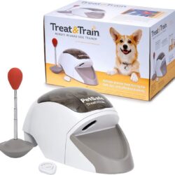 PetSafe Treat & Train ?Remote Treat Dispensing Dog Training System, Positive Reinforcement, Calm Behavior, Distraction Avoidance, Includes Training DVD, Target Wand & Remote, For Dogs 6 Months & Up