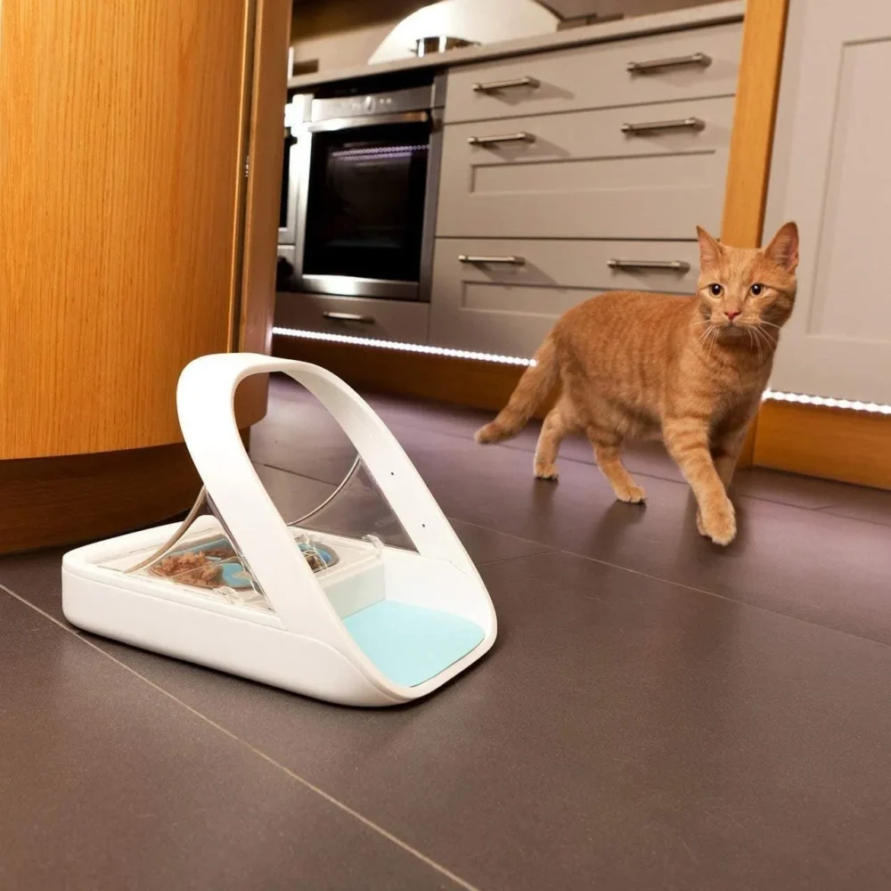 Automatic Pet Feeder -Microchip Pet Feeder - MPF001 - Suitable for Both Wet and Dry Food - Bonus eOutletDeals Pet Towel - Image 5