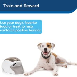PetSafe Treat & Train ?Remote Treat Dispensing Dog Training System, Positive Reinforcement, Calm Behavior, Distraction Avoidance, Includes Training DVD, Target Wand & Remote, For Dogs 6 Months & Up - Image 2
