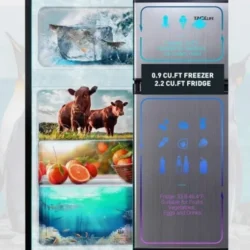 Mini Fridge with Freezer, 3.1 Cu.Ft Small Refrigerator, Compact Refrigerator with LED Light - Image 2