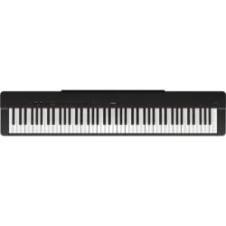 P-225 88-Key Digital Piano Black Essentials Package - Image 9
